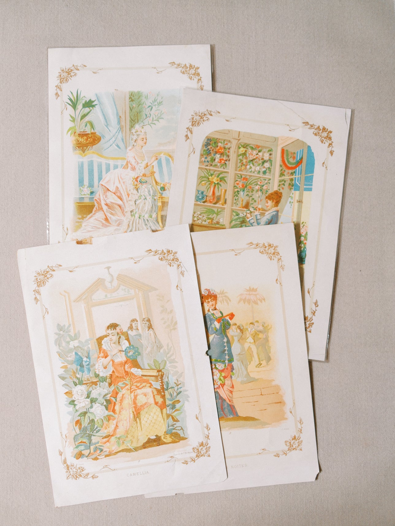Victorian-era Flower Language Prints