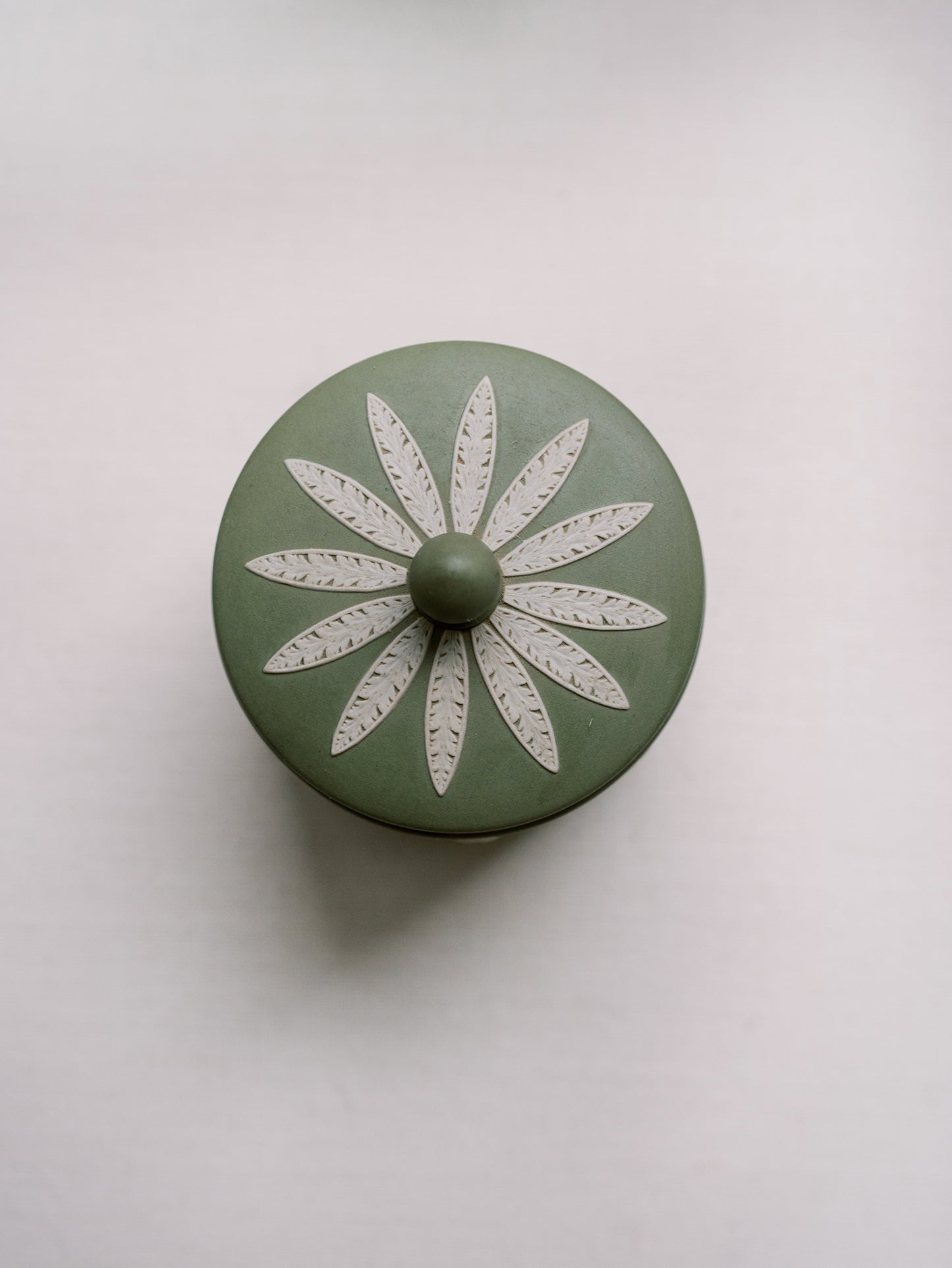 Sage Green Wedgwood Canister