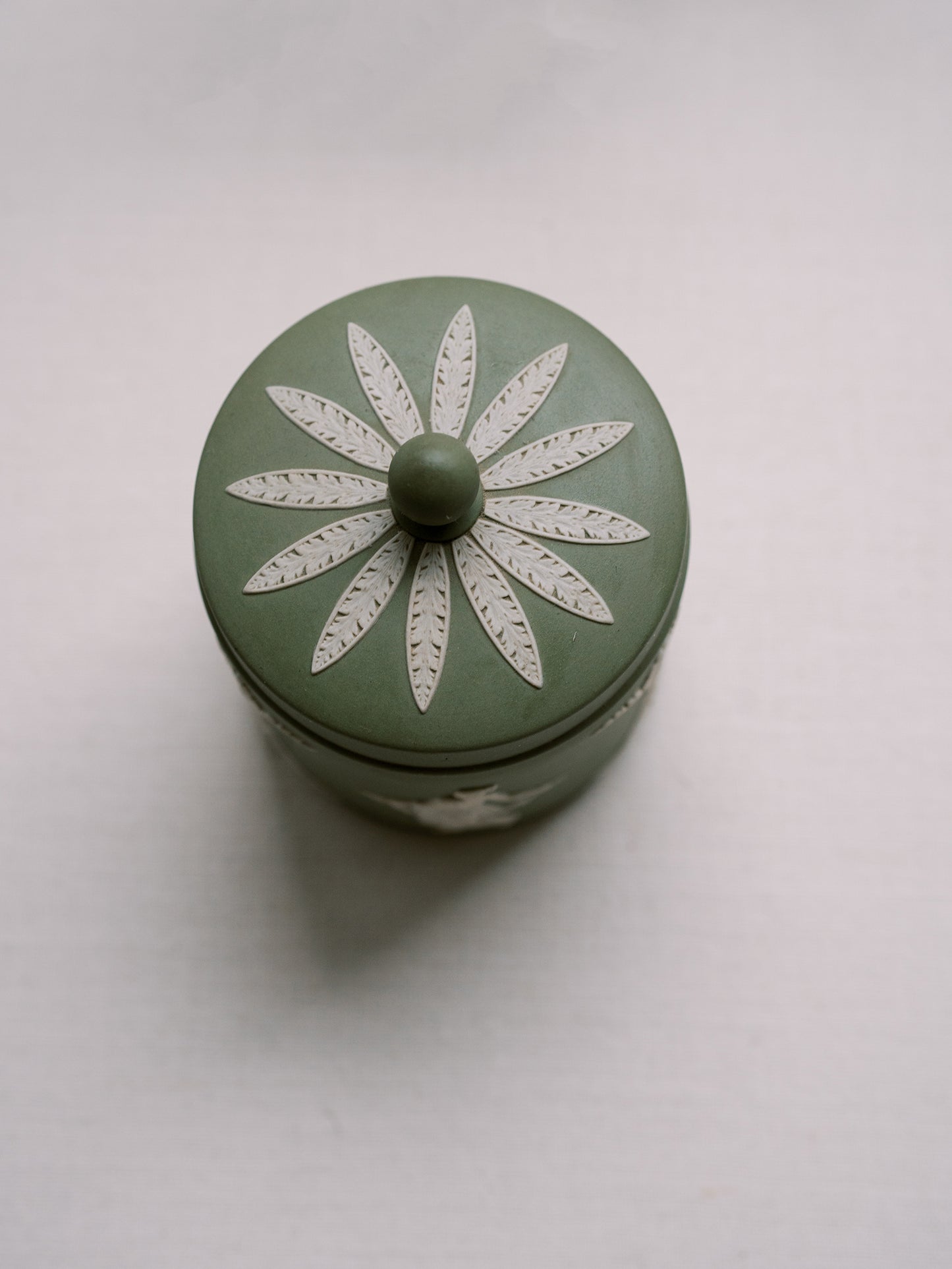 Sage Green Wedgwood Canister