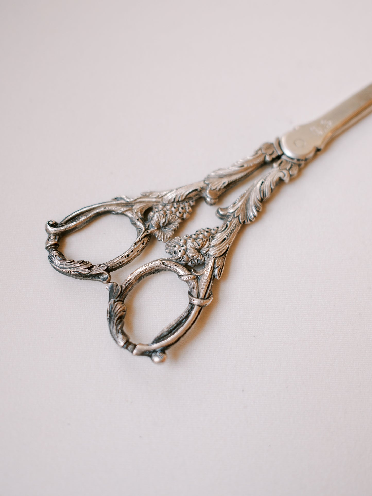 Silver Grape Scissors